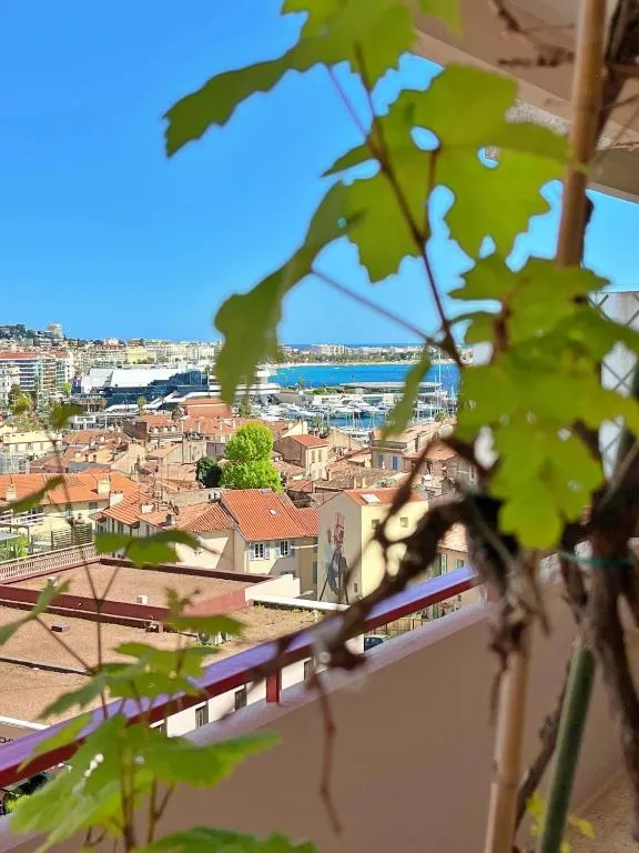 Image 4 of Le charme de Cannes