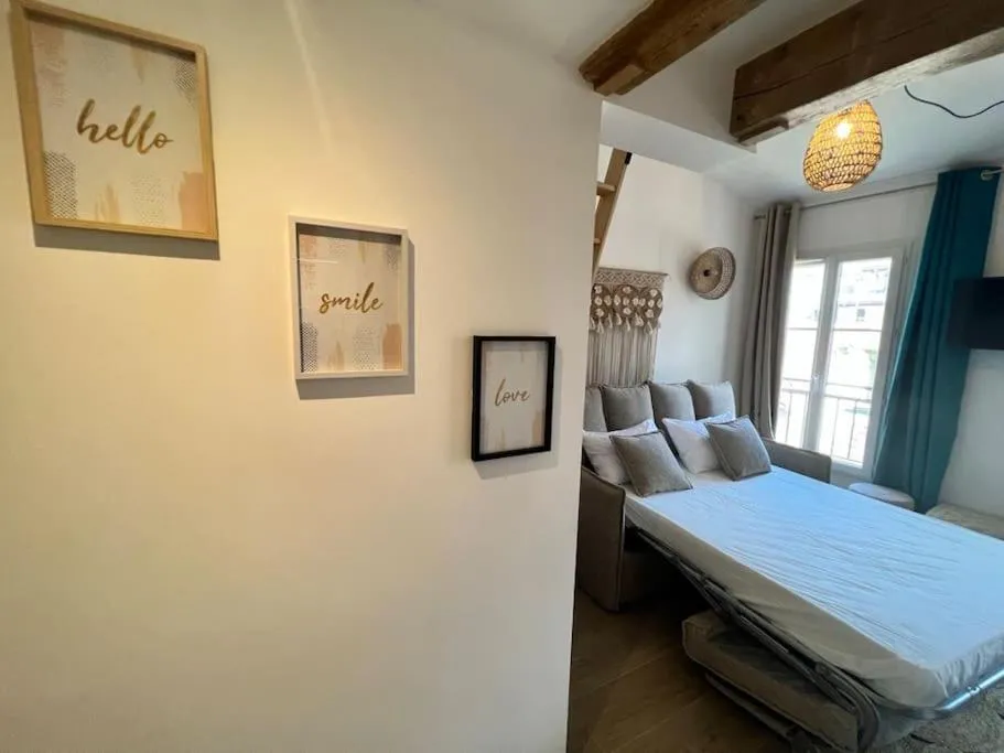 Image 6 of Les Appartements de Nana 10 – Studio hypercentre, Rue Meynadier, Palais & Plage, clim, wifi