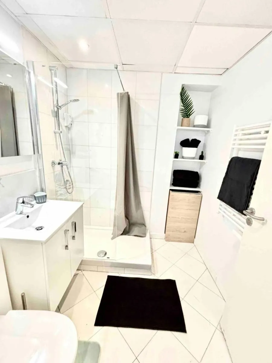Image 4 of Adorable studio cannes center