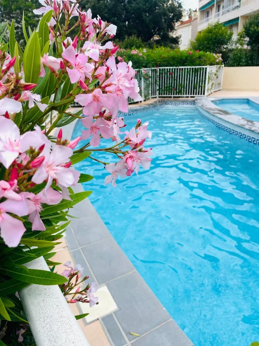 Image 3 of Appartement Cannes avec piscine