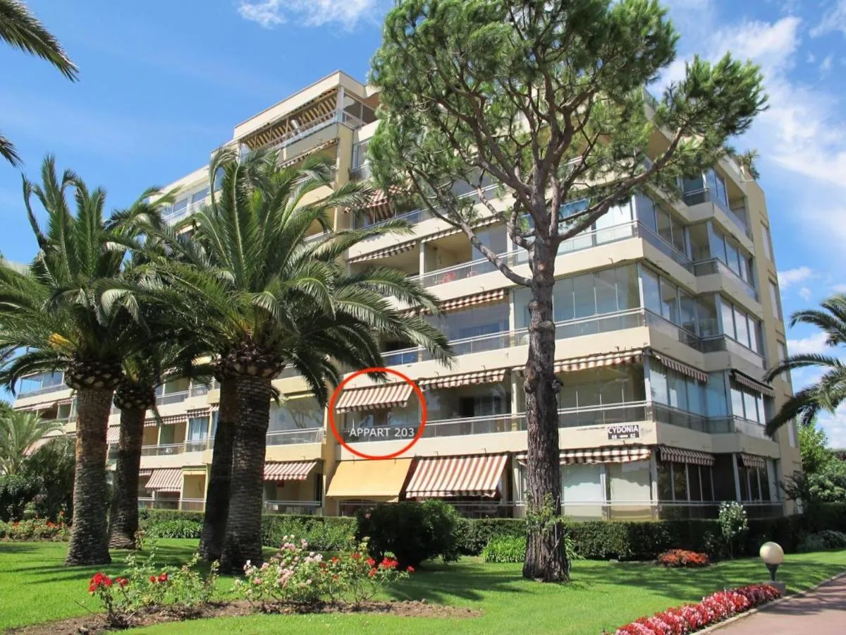 Image 4 of Appartement les pieds dans l’eau