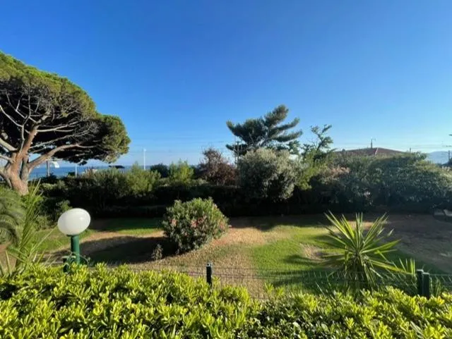 Image 1 of Cannes