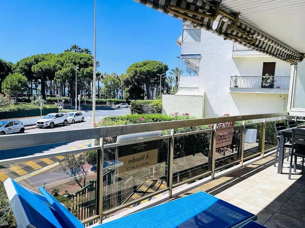 Image of Cannes Palm Beach