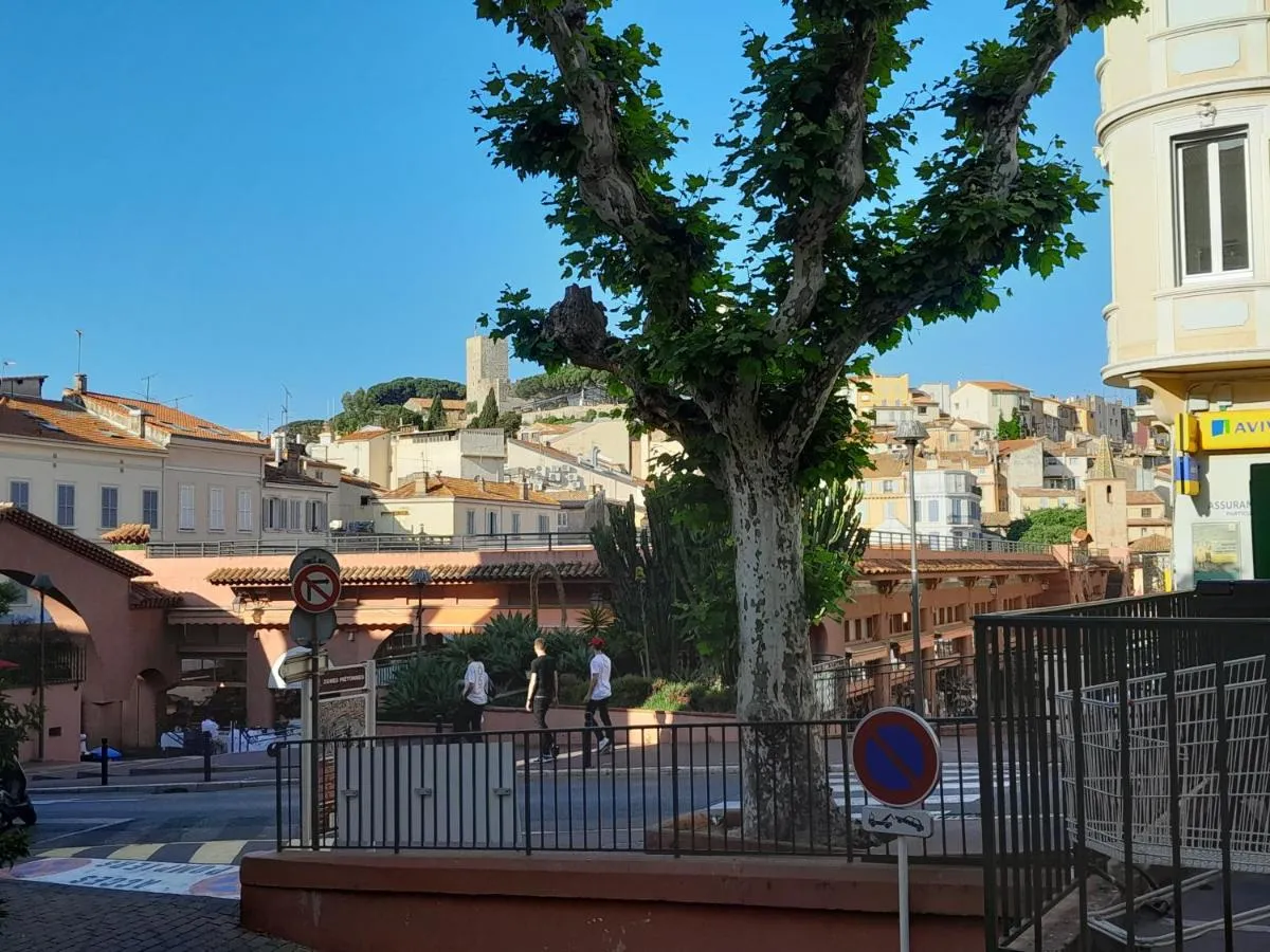 Image 4 of FORVILLE APARTMENT Cannes