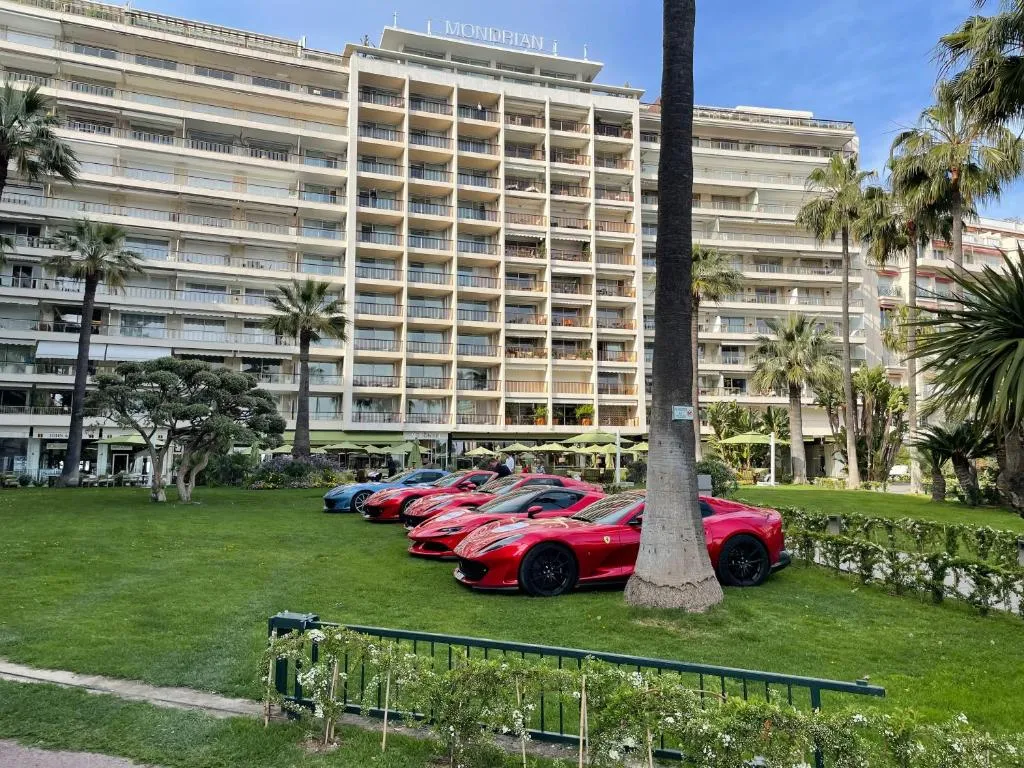 Image of Ibis croisette