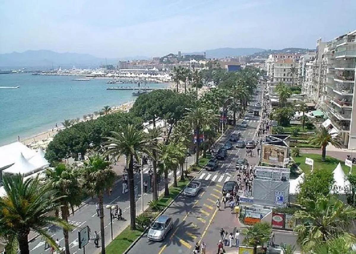 Image 5 of LES ALGUES T2