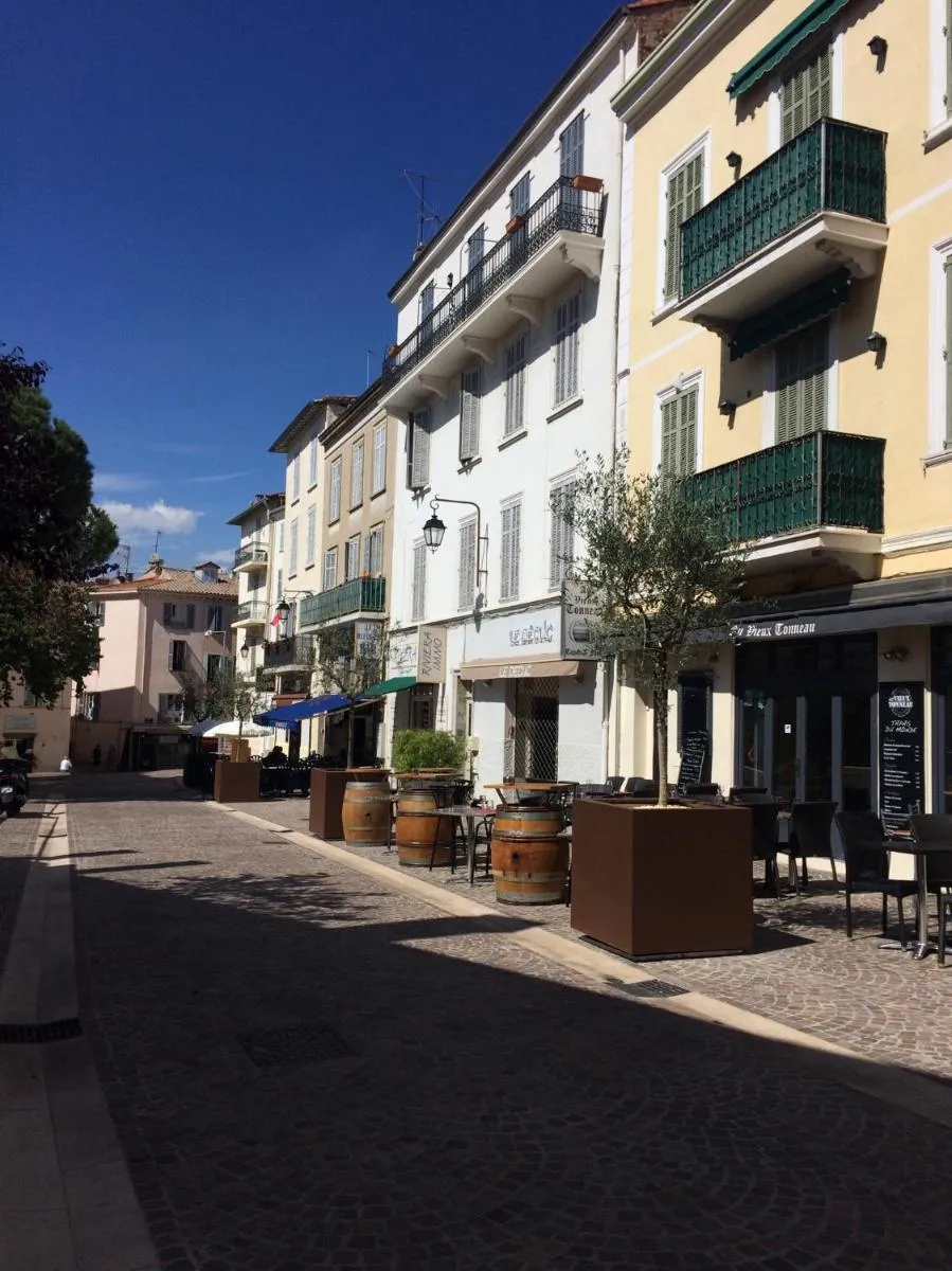 Image 6 of Palme d’hote