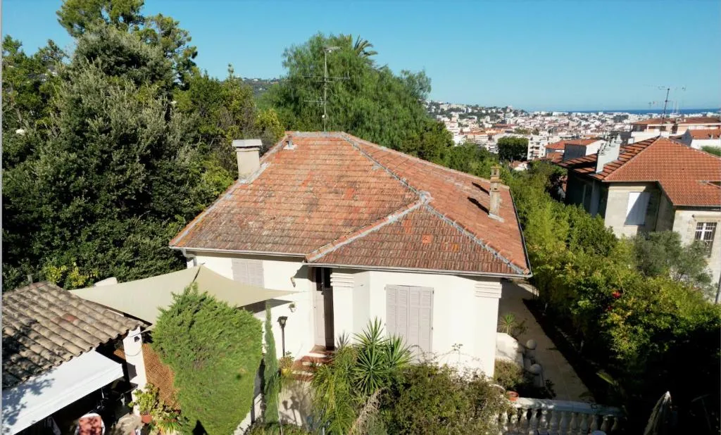 Image of les néfliers