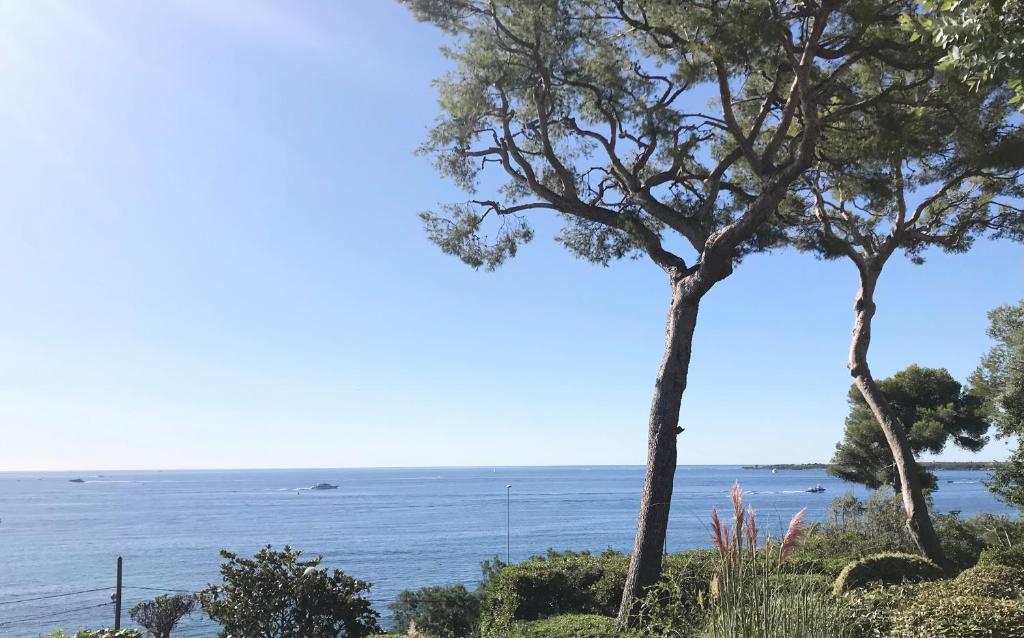 Image of Cannes directly on the Sea