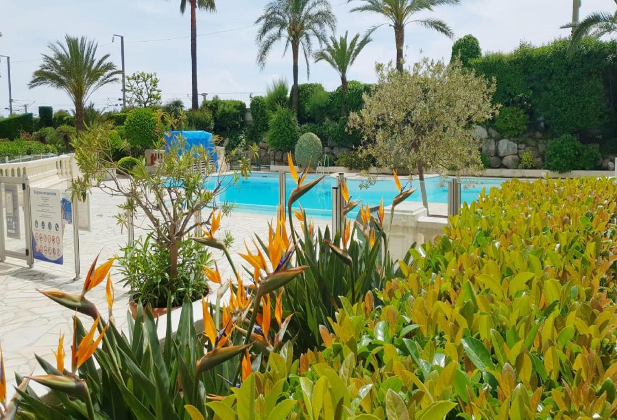 Image 2 of Sea view La Palme d’Azur apartment steps away from the beach and perfect for holidays & business trips