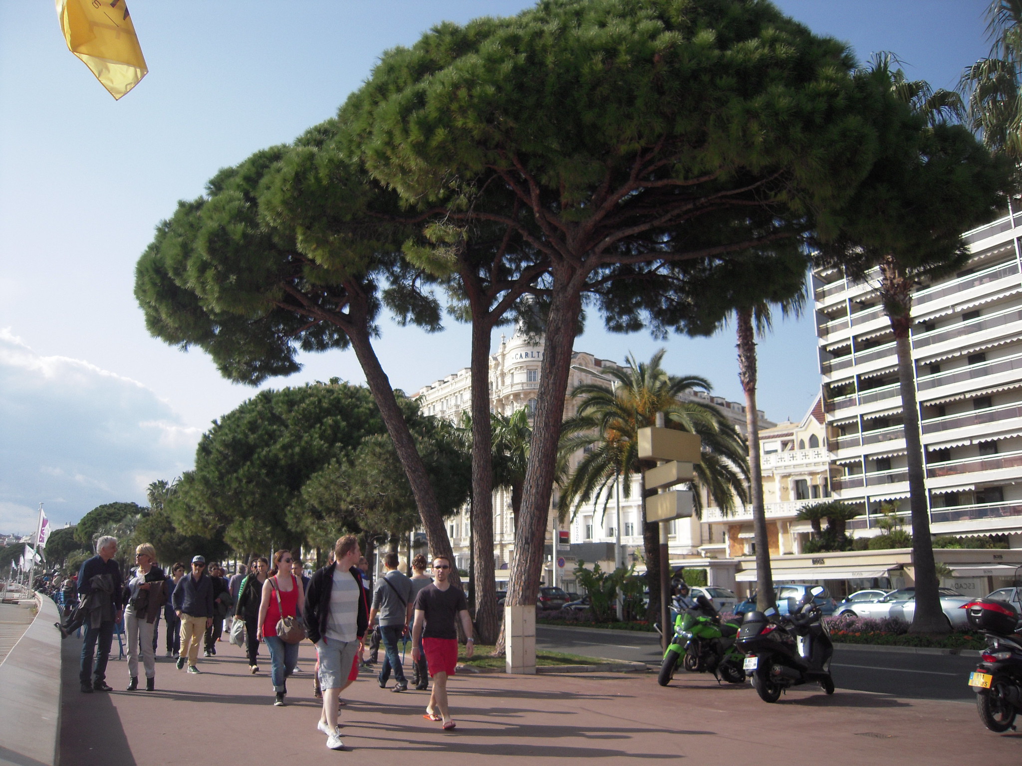 La Croisette